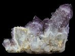 Cactus Quartz (Amethyst) Crystal Cluster - South Africa #64247-2